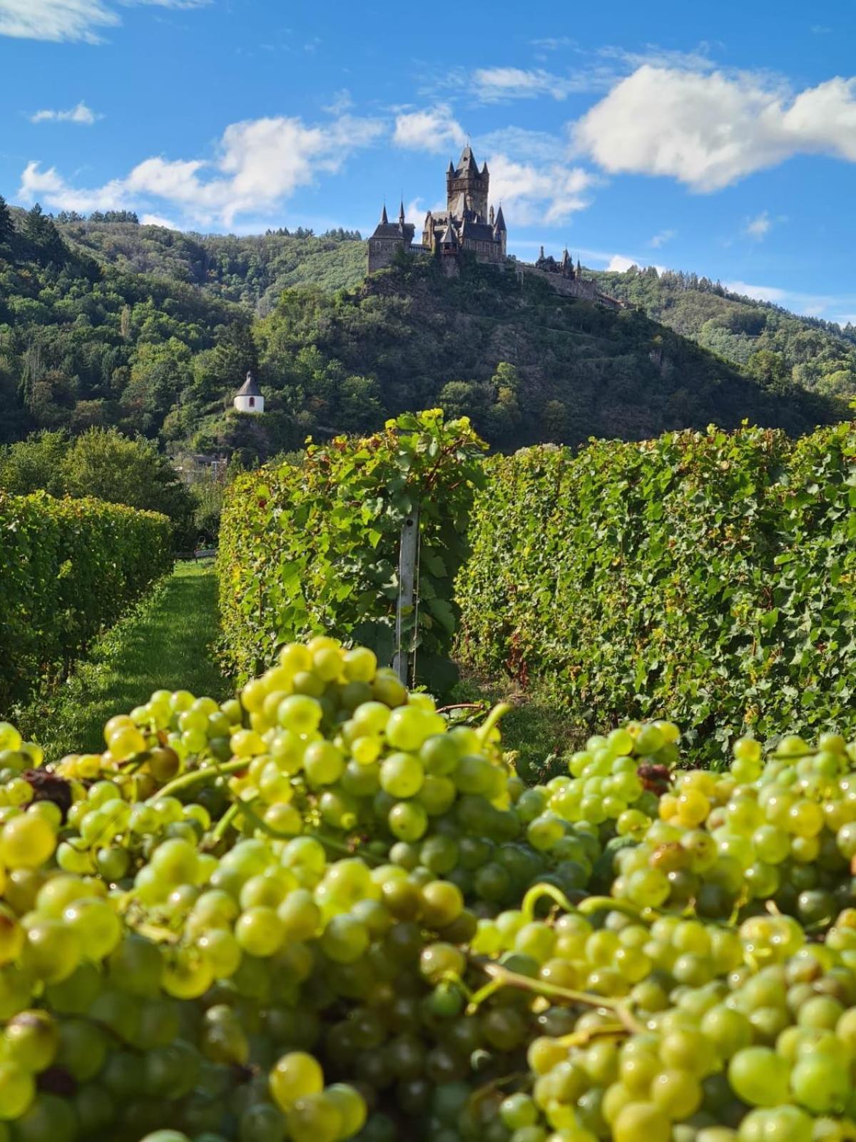 Weingut Gaestehaus Bach Cochem Exterior photo